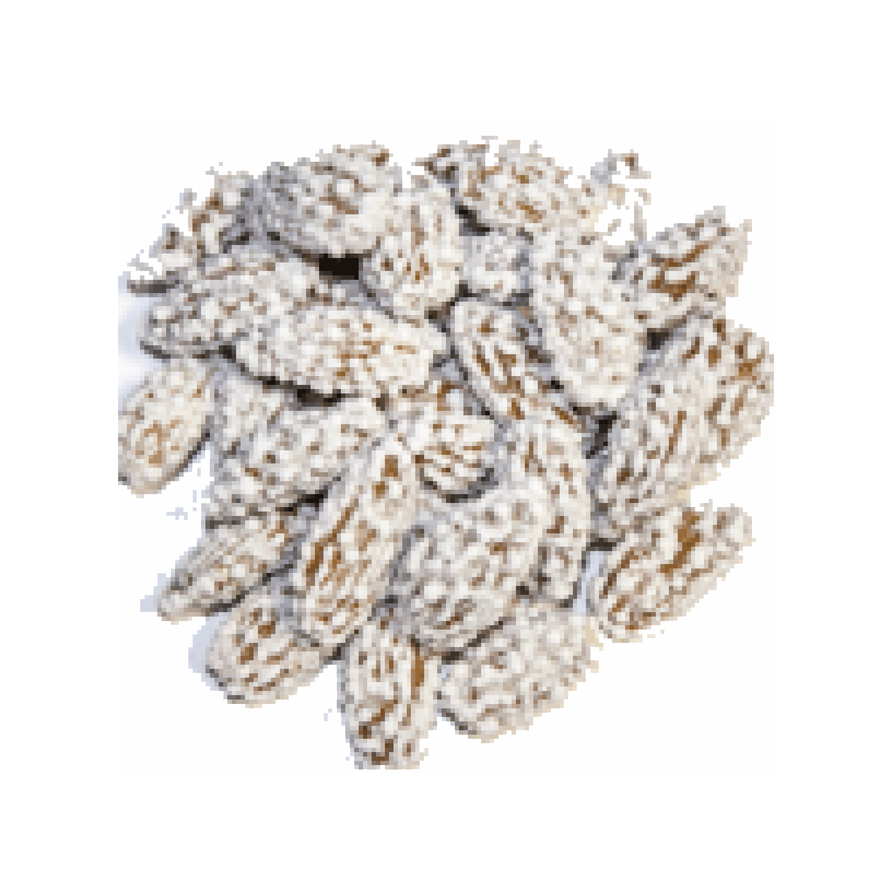 KAIFALMONDS SUGAR COATED (NOQOL) 800GM
