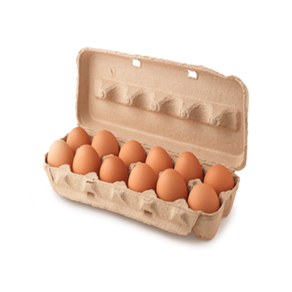 EGGS 12L BROWN (UNIT)