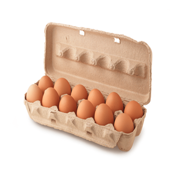 12 MEDIUM BROWN EGGS
