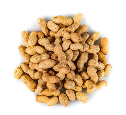 MONKEY NUTS BULK 15KG
