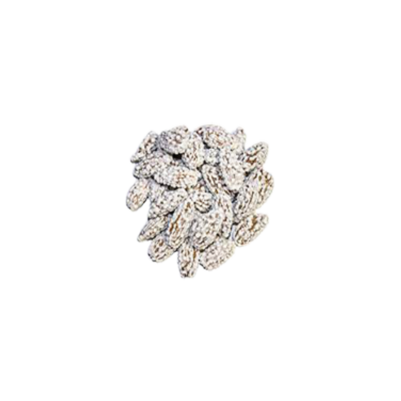 PEANUT NOQUL 400G